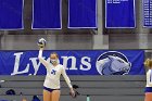 Women’s VB intersquad  Women’s Volleyball inter-squad match. : Women’s Volleyball, VB, inter squad, intersquad